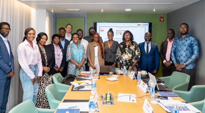 Formation de spécialisation | Droit de l’Électricité et Projets en RDC